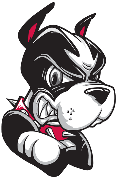 Boston University Terriers 2005-Pres Partial Logo decal sticker